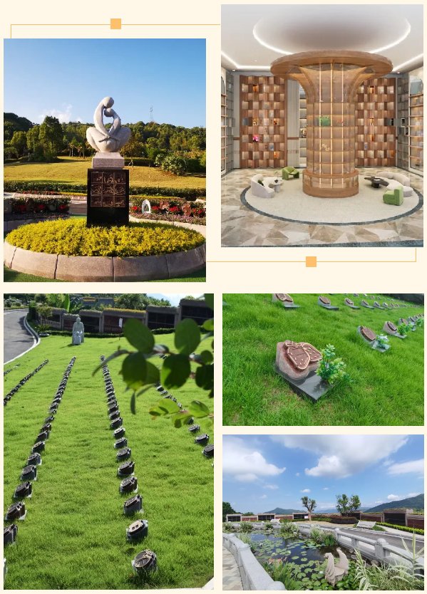 永乐高·(中国区)官方网站