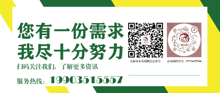 永乐高·(中国区)官方网站