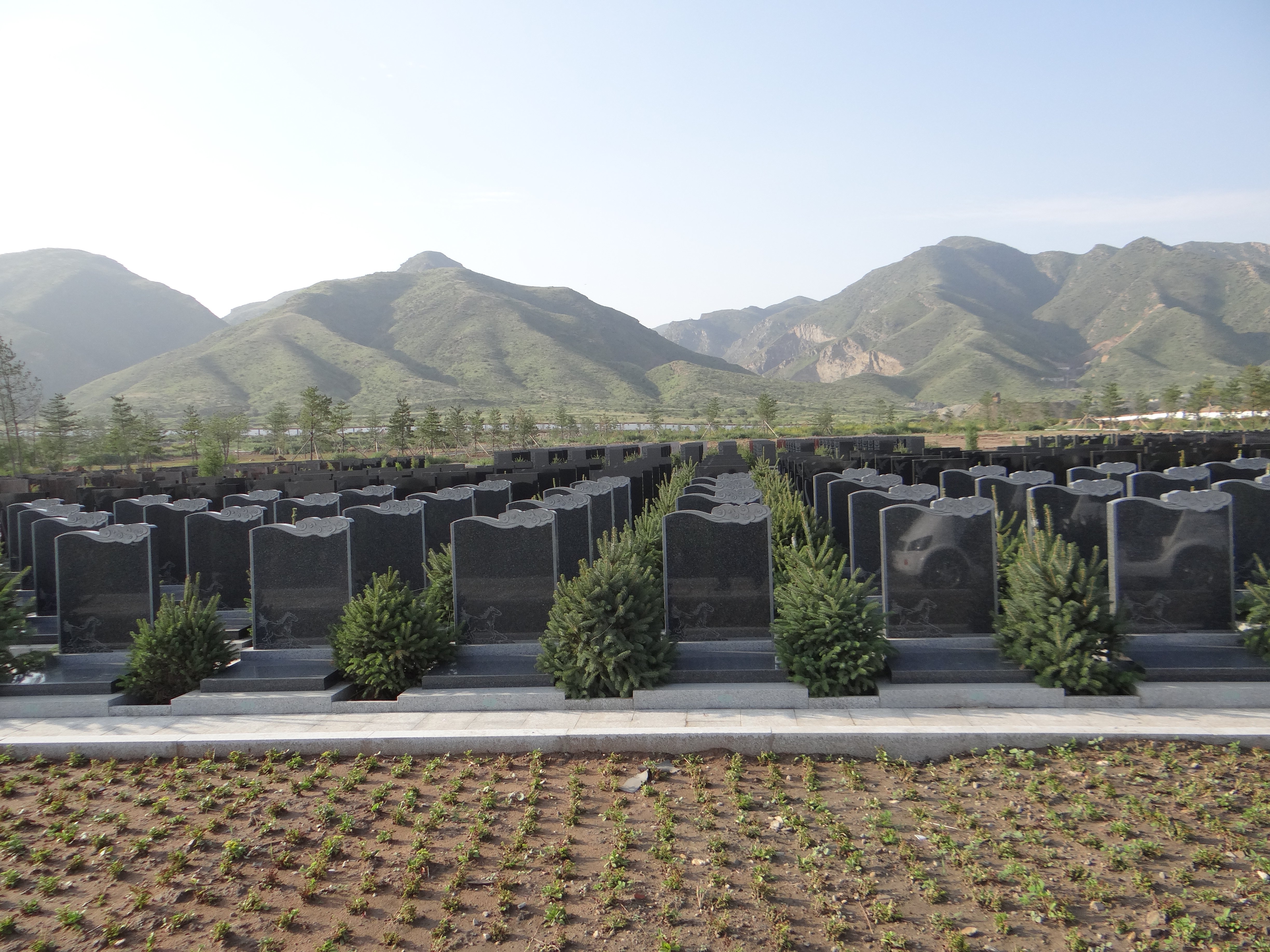 永乐高·(中国区)官方网站