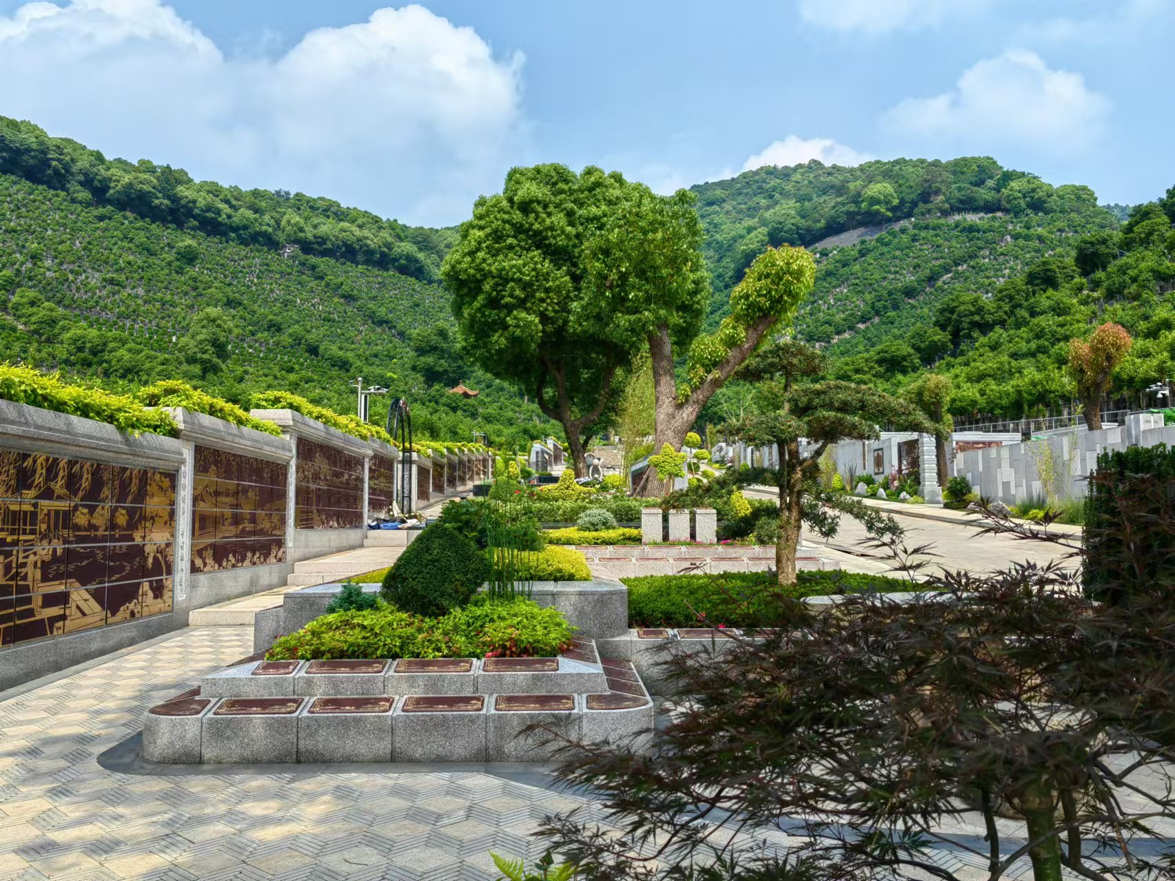 引领绿色生态新民俗，，共筑生命协调家园