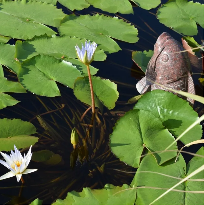 永乐高·(中国区)官方网站