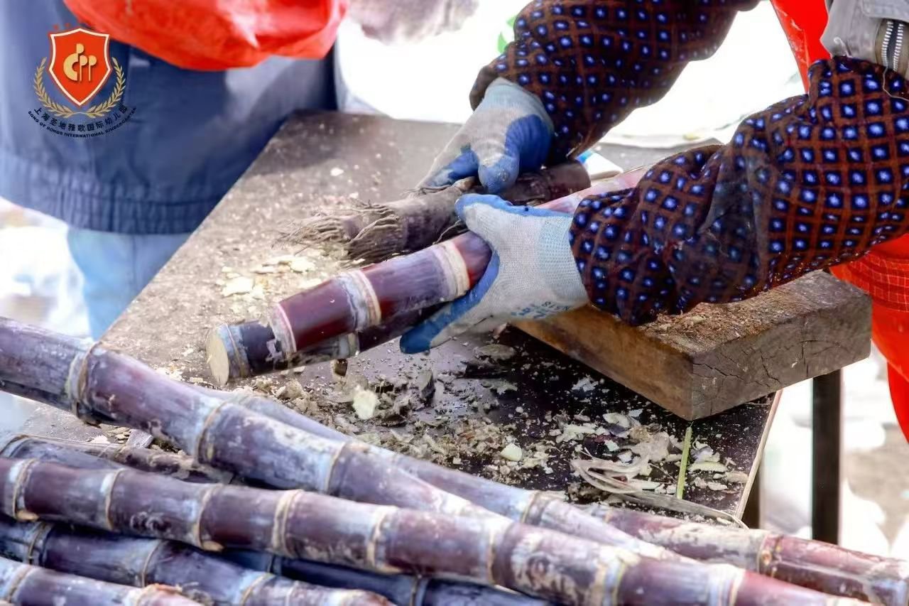 永乐高·(中国区)官方网站