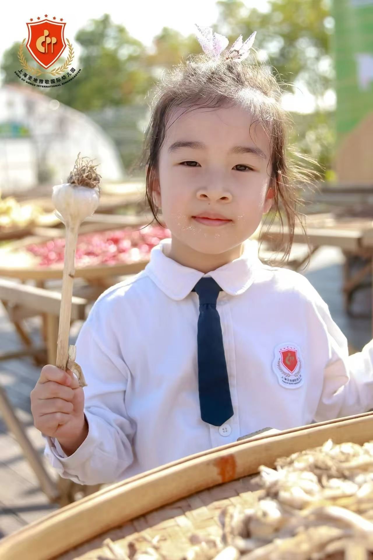 永乐高·(中国区)官方网站