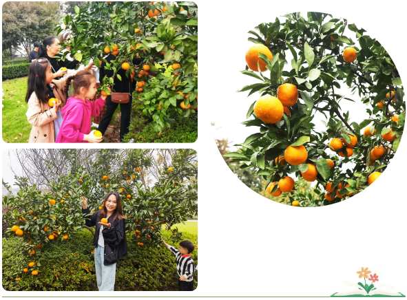 永乐高·(中国区)官方网站