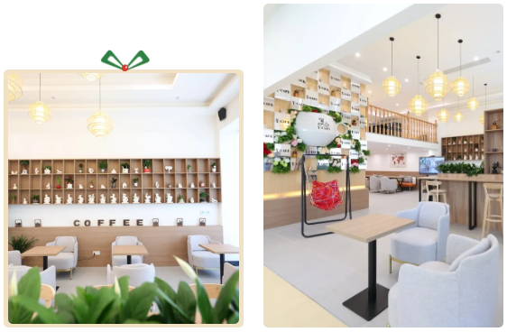 永乐高·(中国区)官方网站