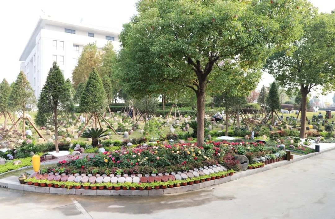 永乐高·(中国区)官方网站