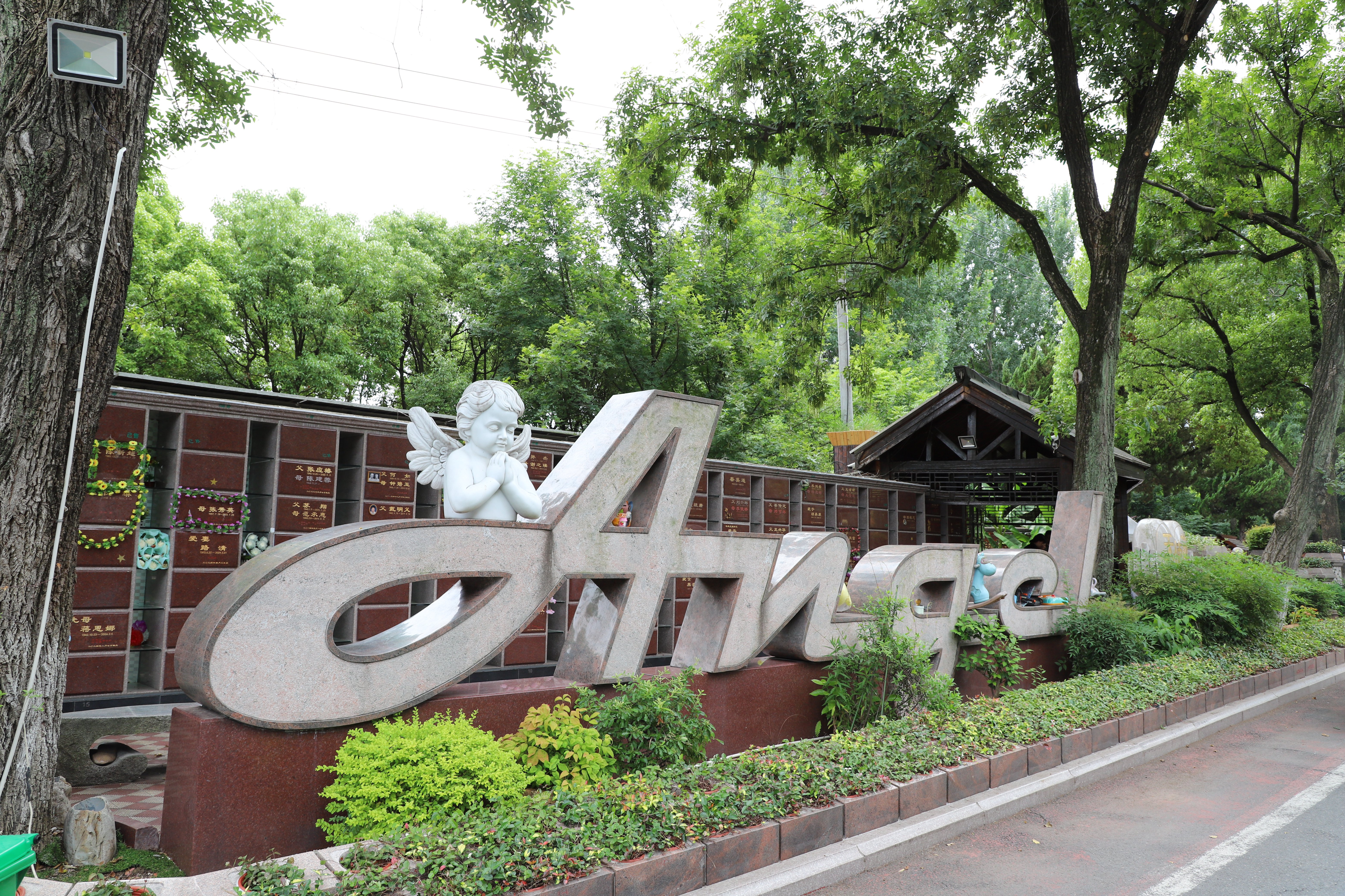 永乐高·(中国区)官方网站