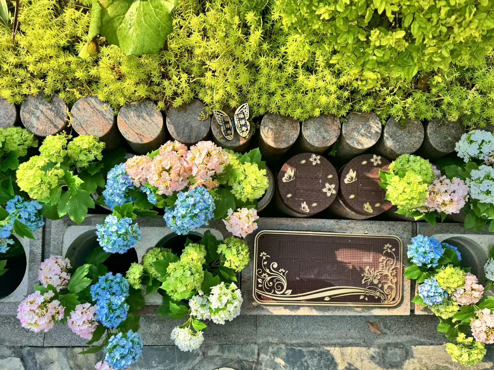 永乐高·(中国区)官方网站