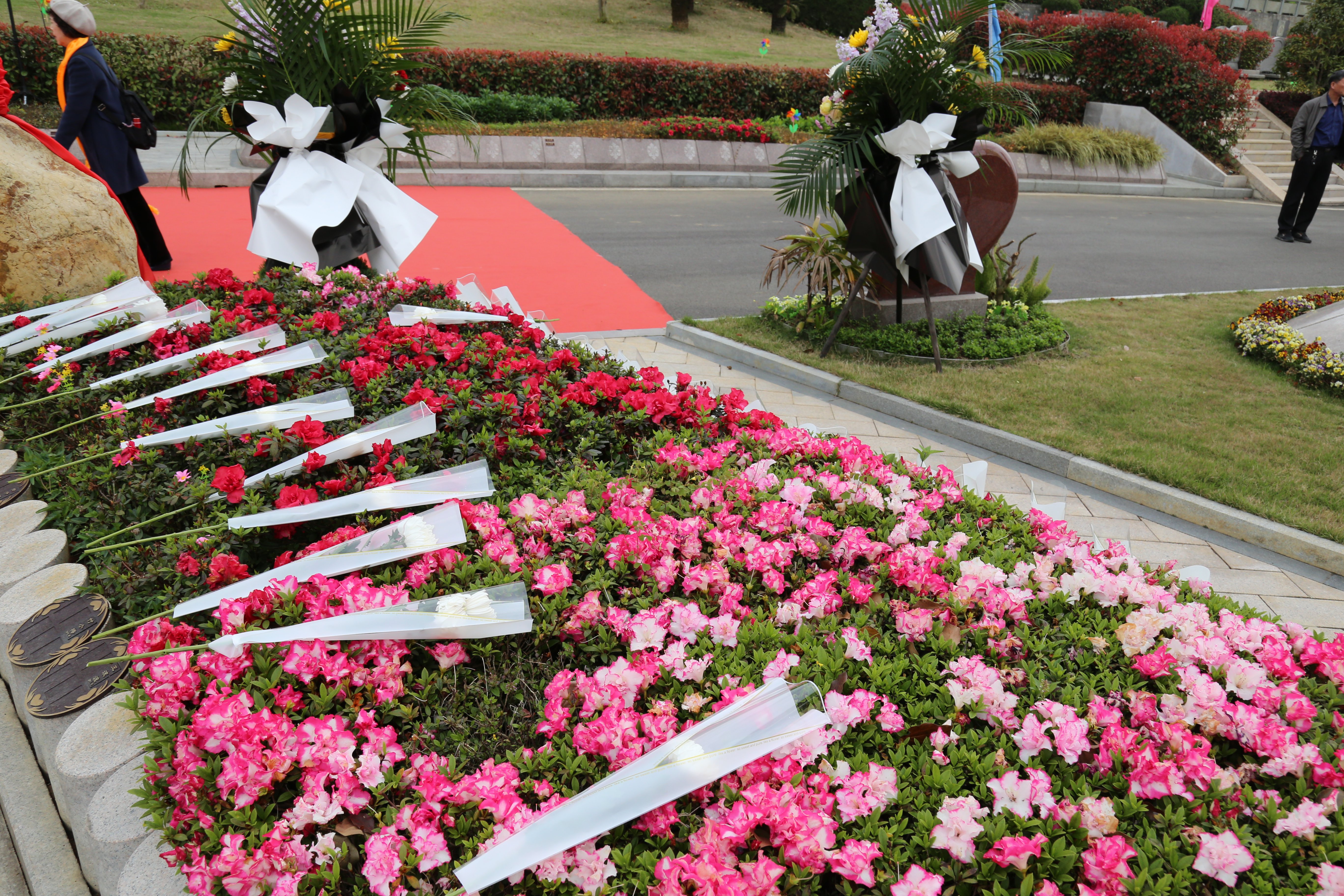 永乐高·(中国区)官方网站