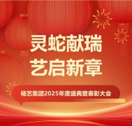 灵蛇献瑞 艺启新章 | 永乐高集团2025年度盛典暨表扬大会