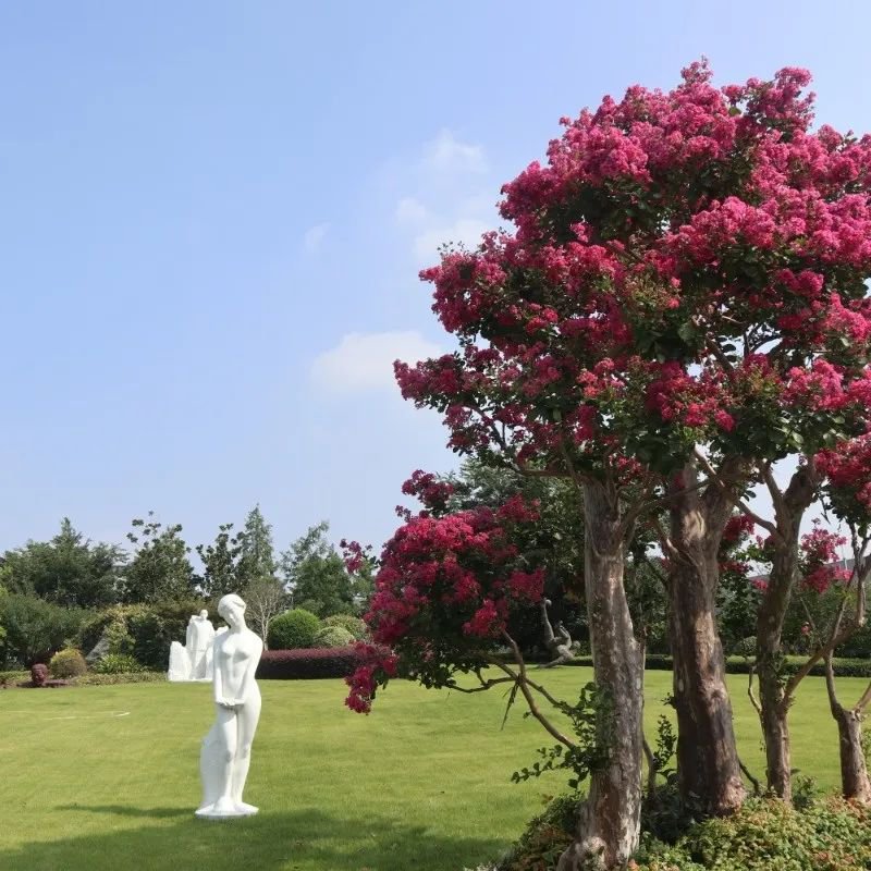 永乐高·(中国区)官方网站