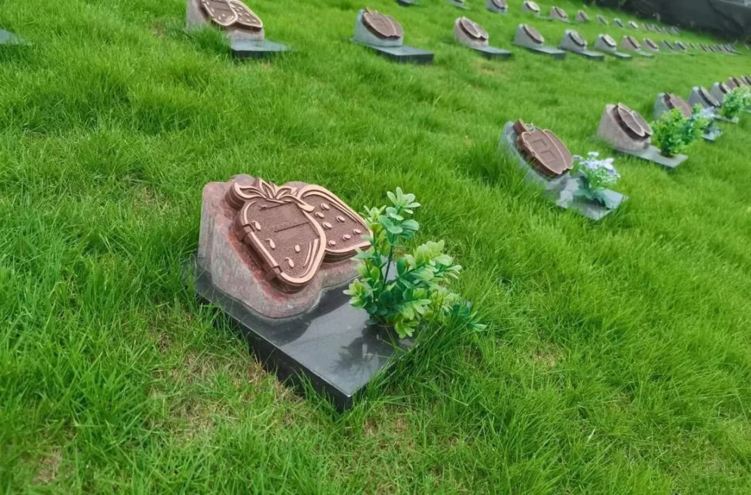 永乐高·(中国区)官方网站