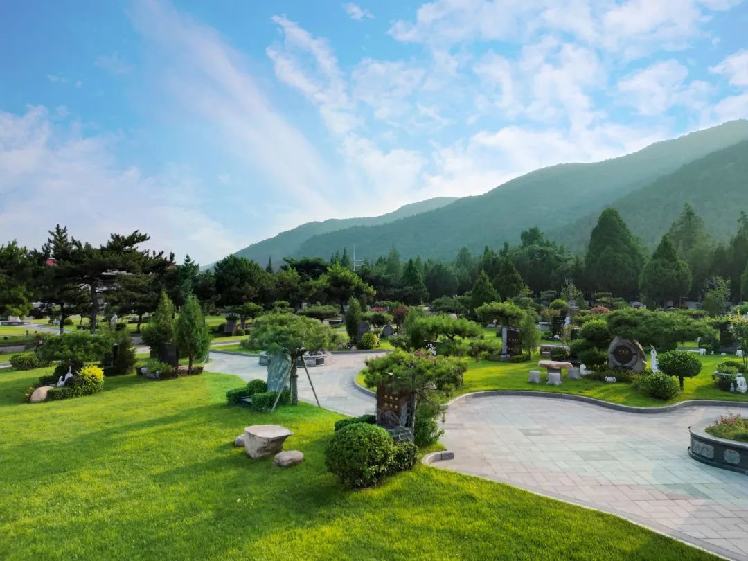 永乐高·(中国区)官方网站