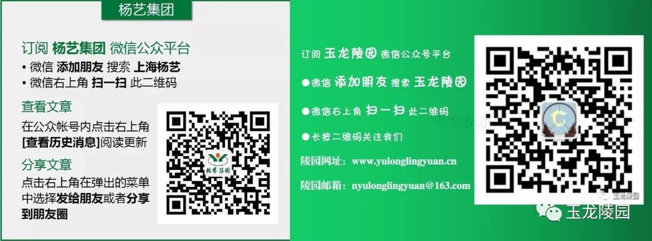 永乐高·(中国区)官方网站
