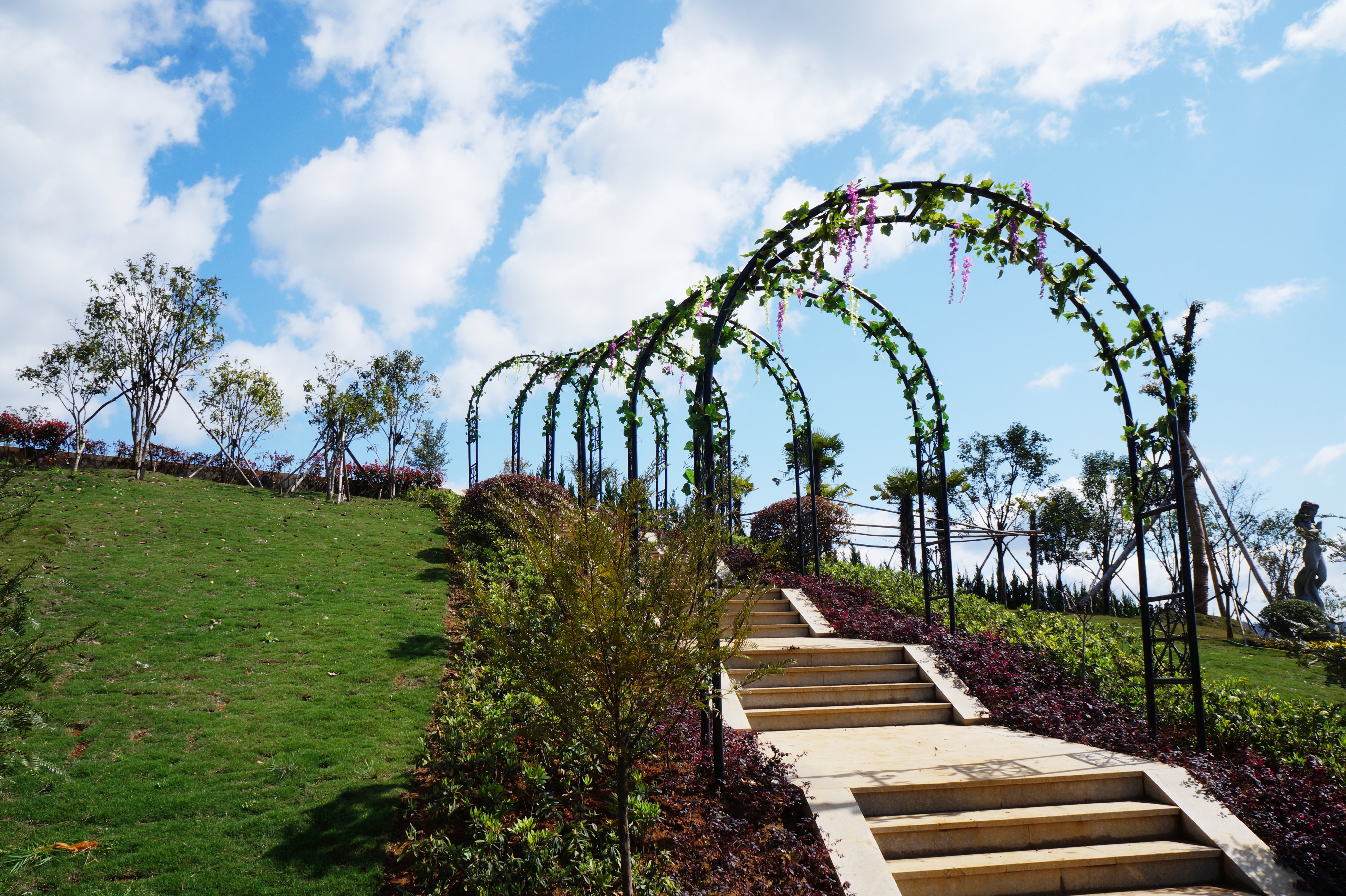 永乐高·(中国区)官方网站