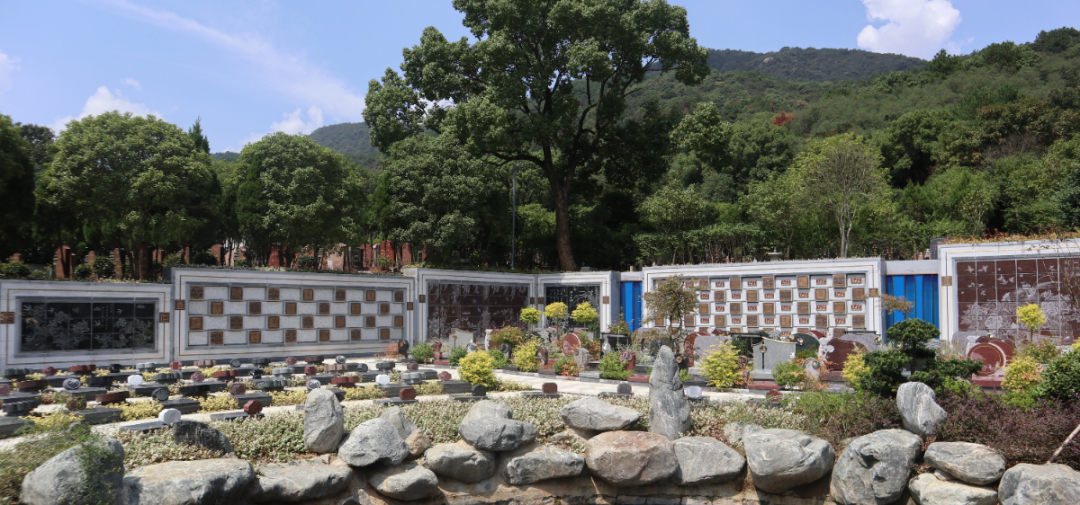 永乐高·(中国区)官方网站