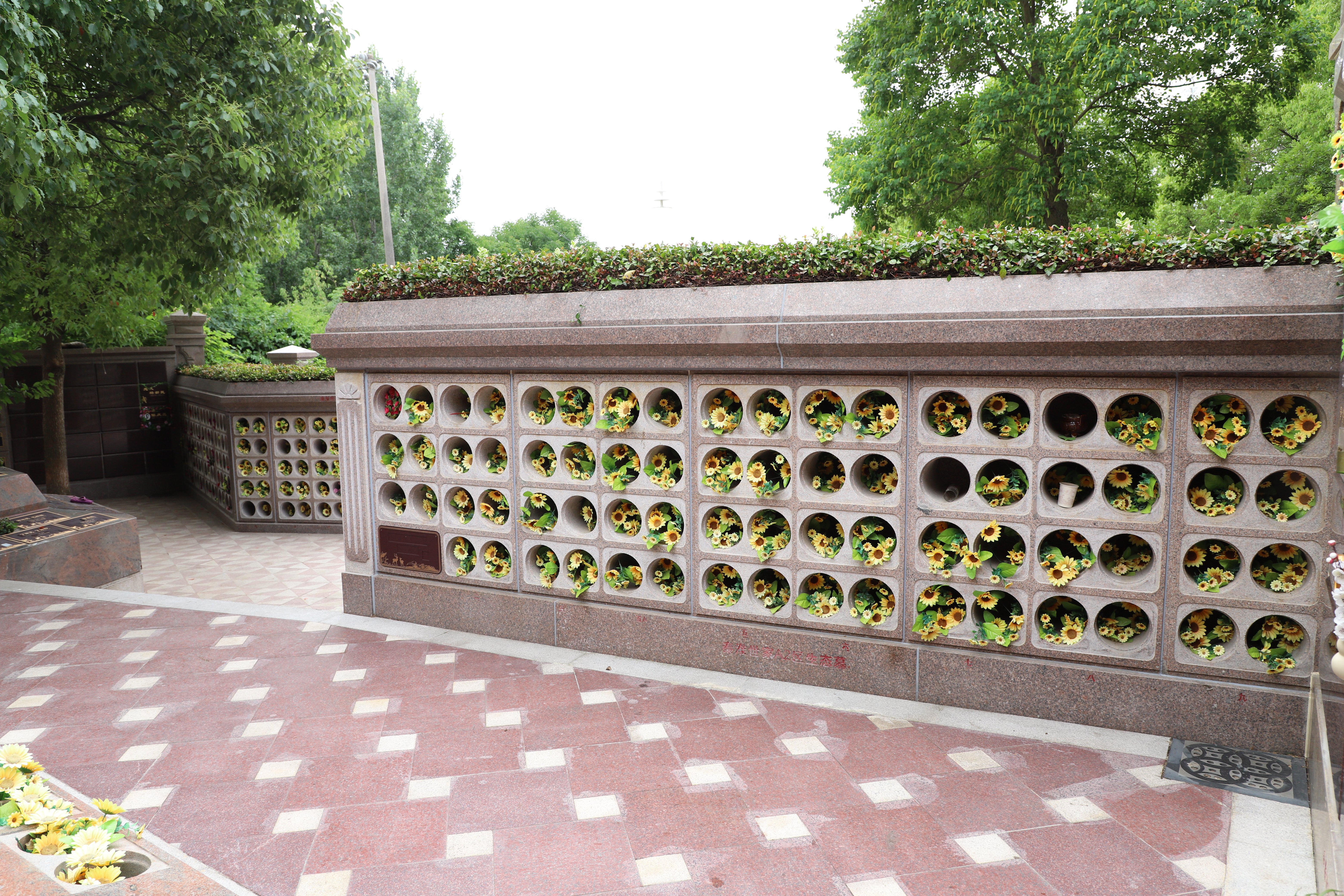 永乐高·(中国区)官方网站