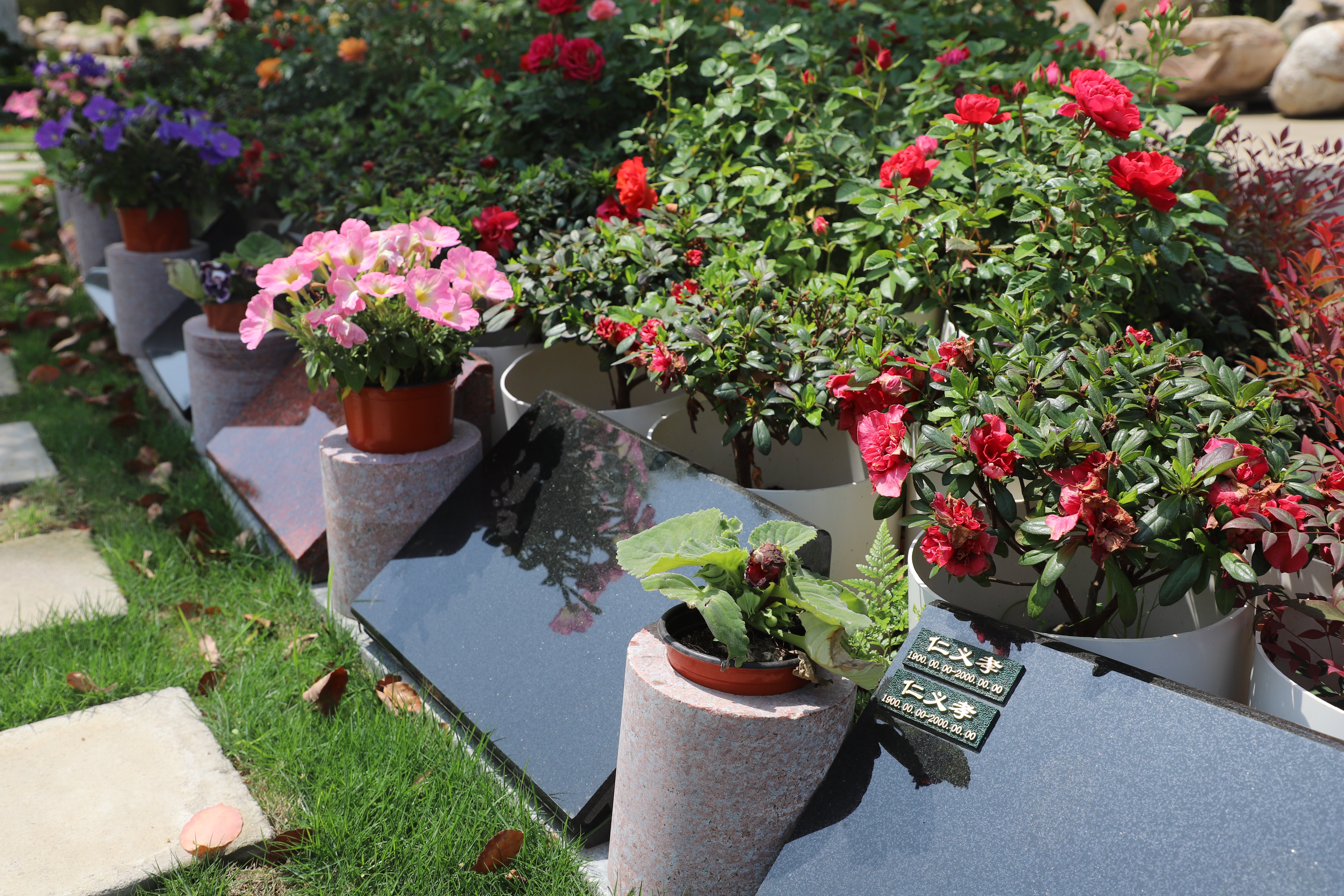 永乐高·(中国区)官方网站