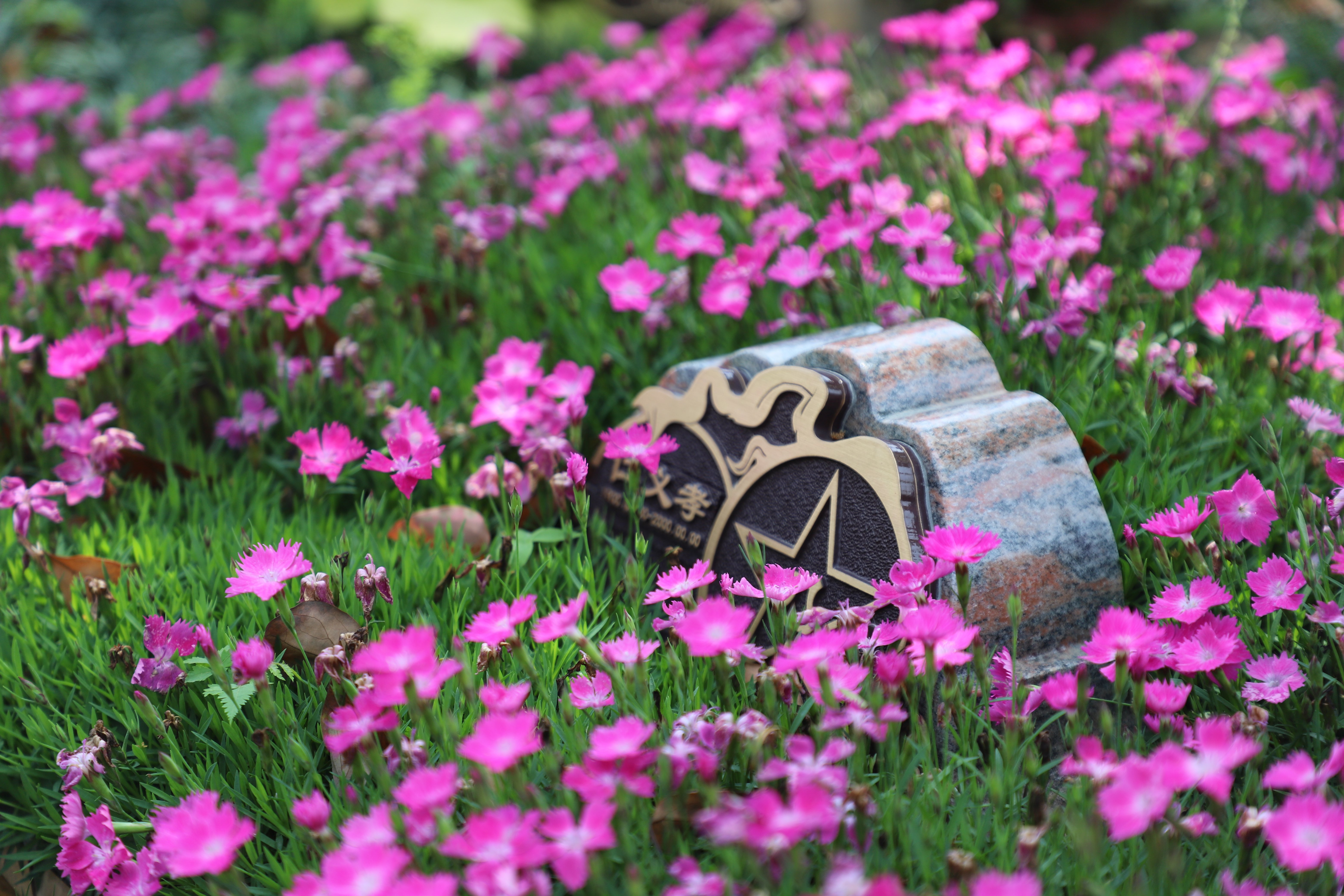 永乐高·(中国区)官方网站