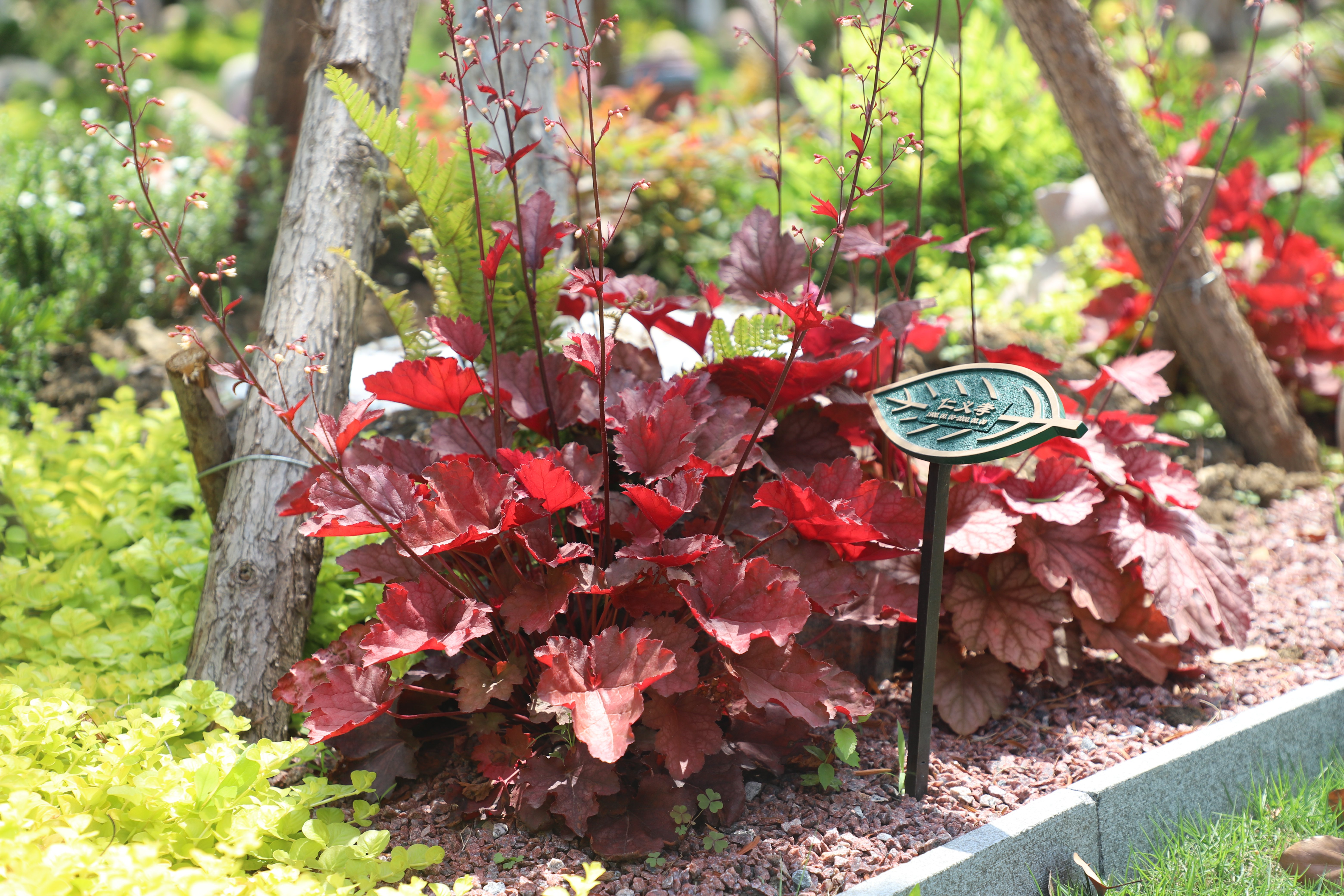 永乐高·(中国区)官方网站