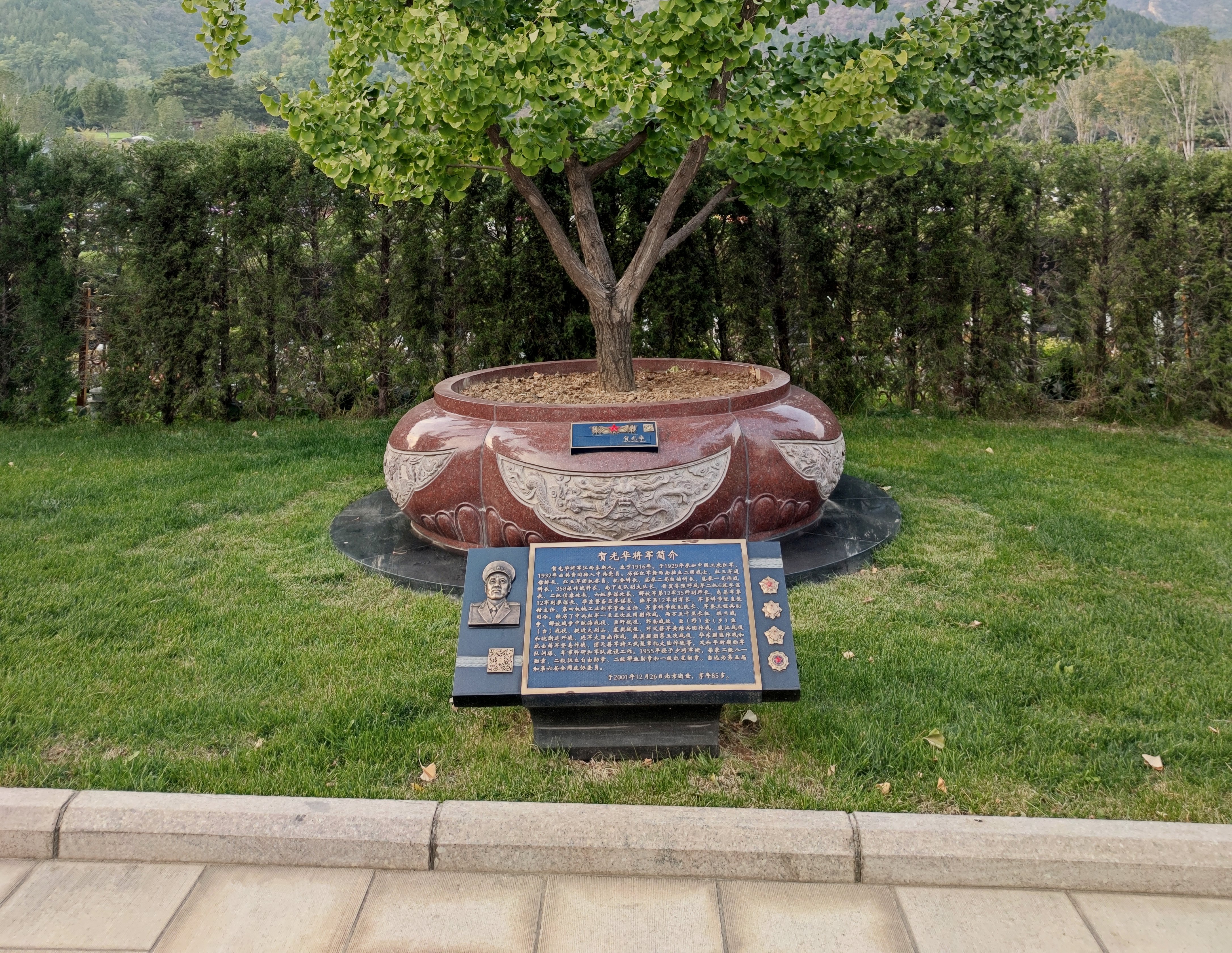 永乐高·(中国区)官方网站