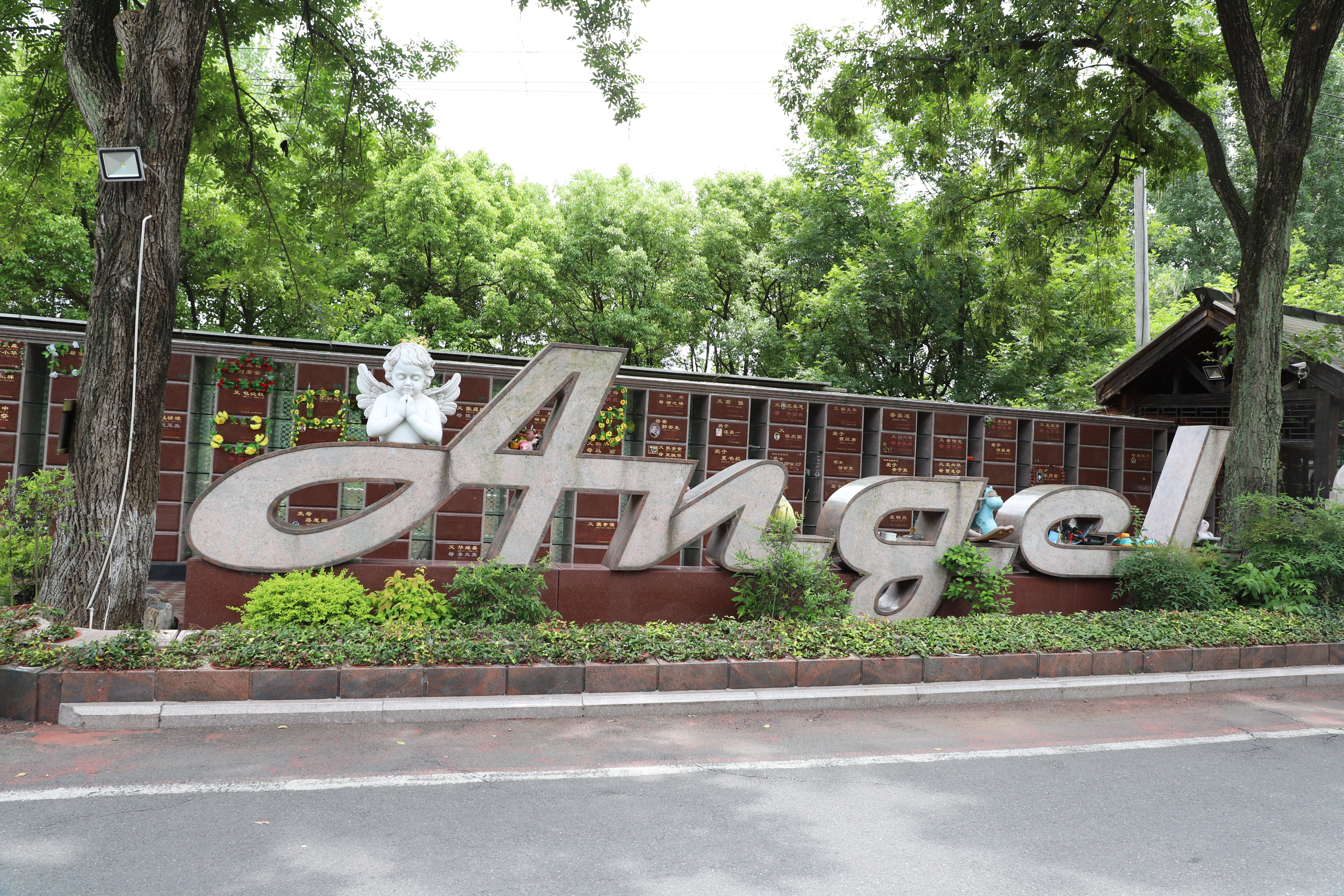 永乐高·(中国区)官方网站