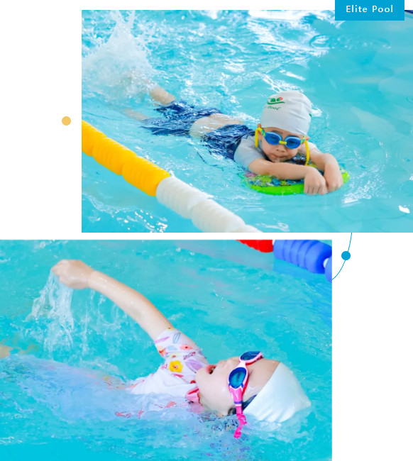 永乐高·(中国区)官方网站