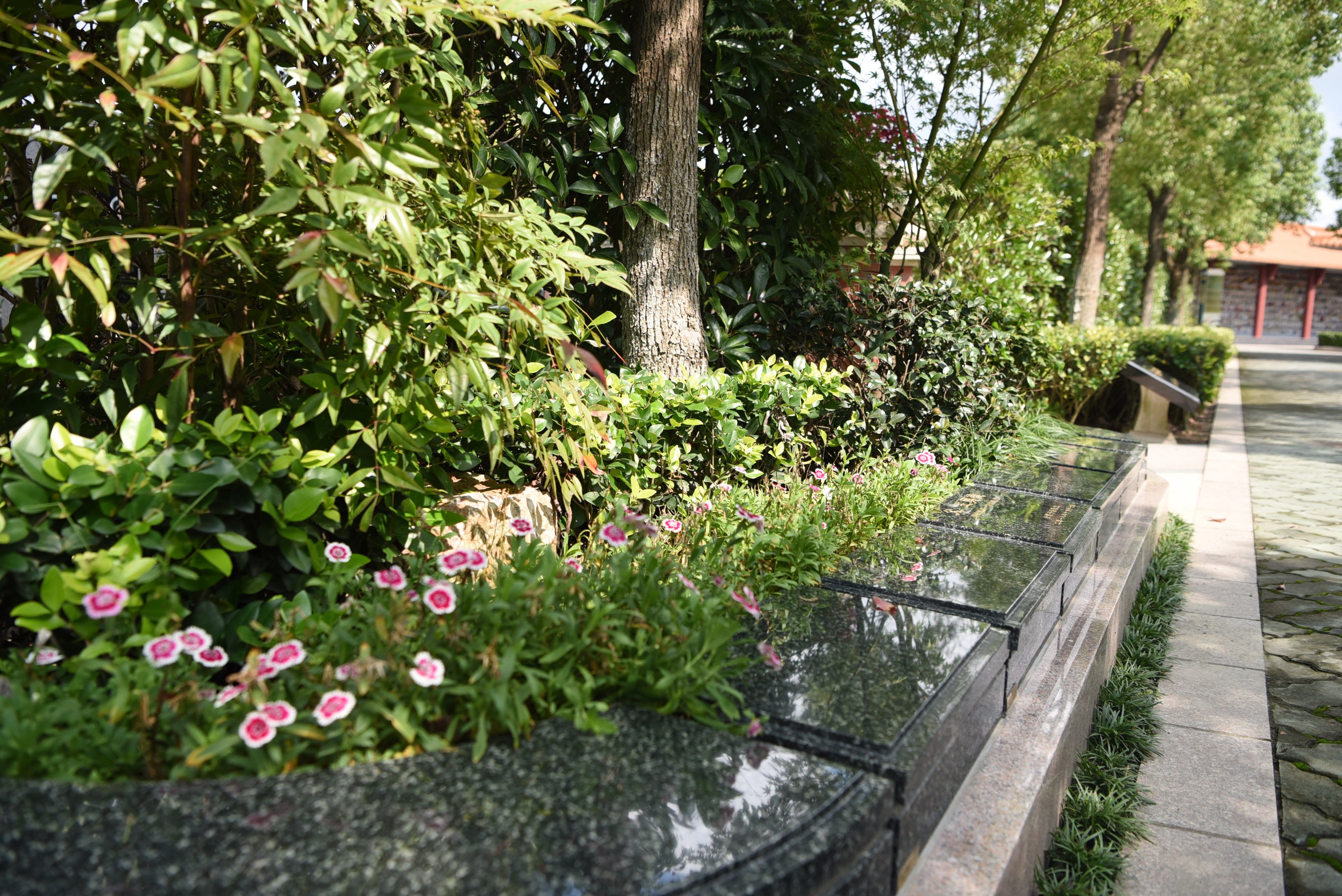 永乐高·(中国区)官方网站