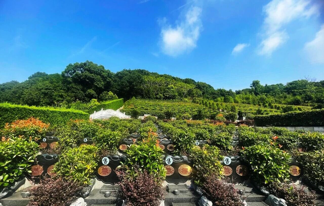 永乐高·(中国区)官方网站