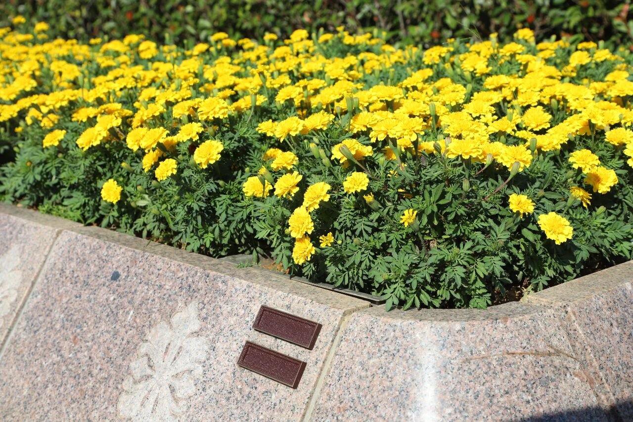 永乐高·(中国区)官方网站