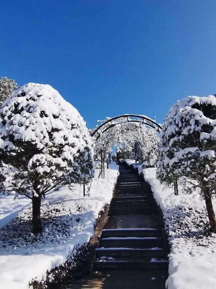 永乐高·(中国区)官方网站