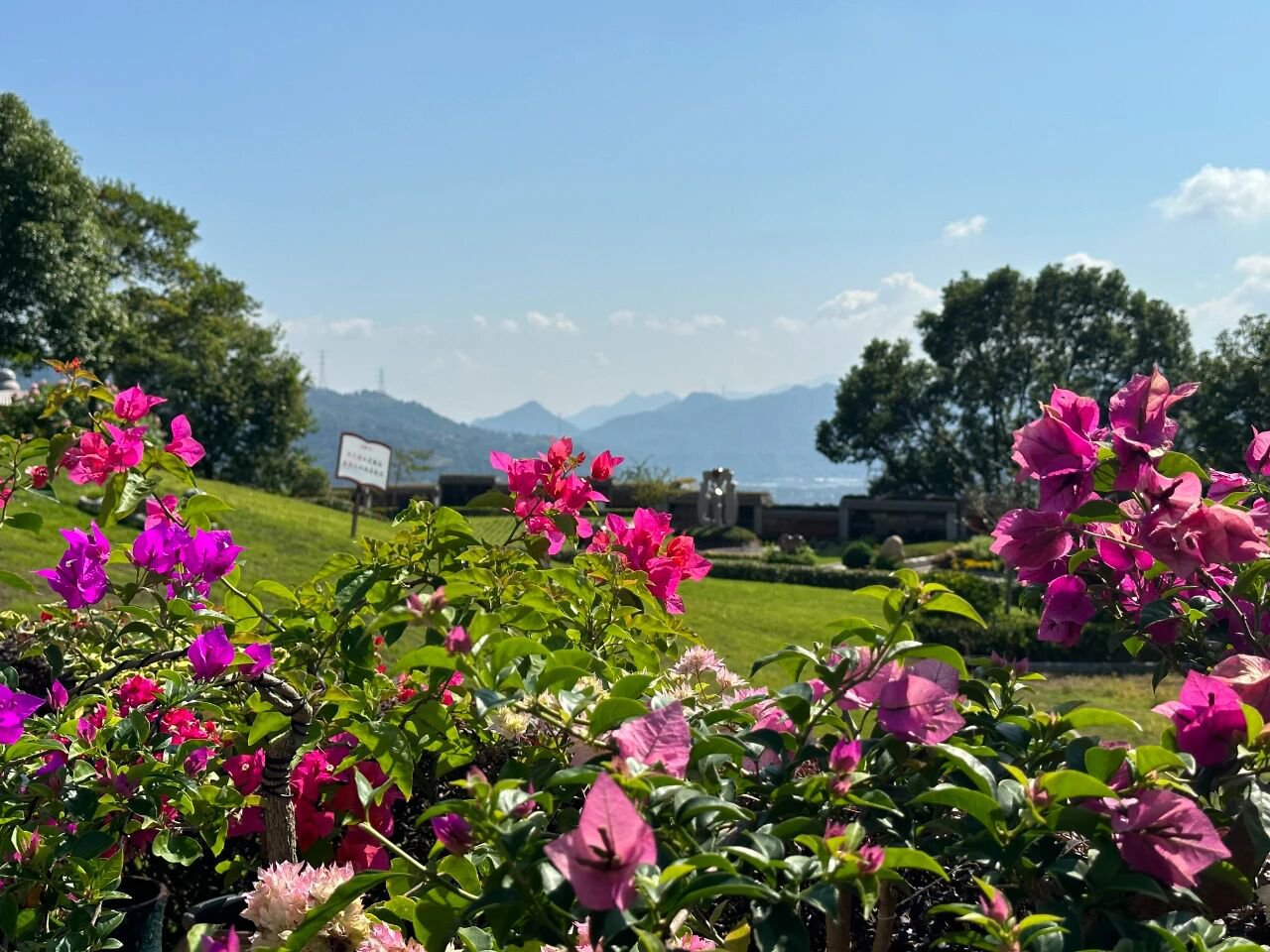 永乐高·(中国区)官方网站