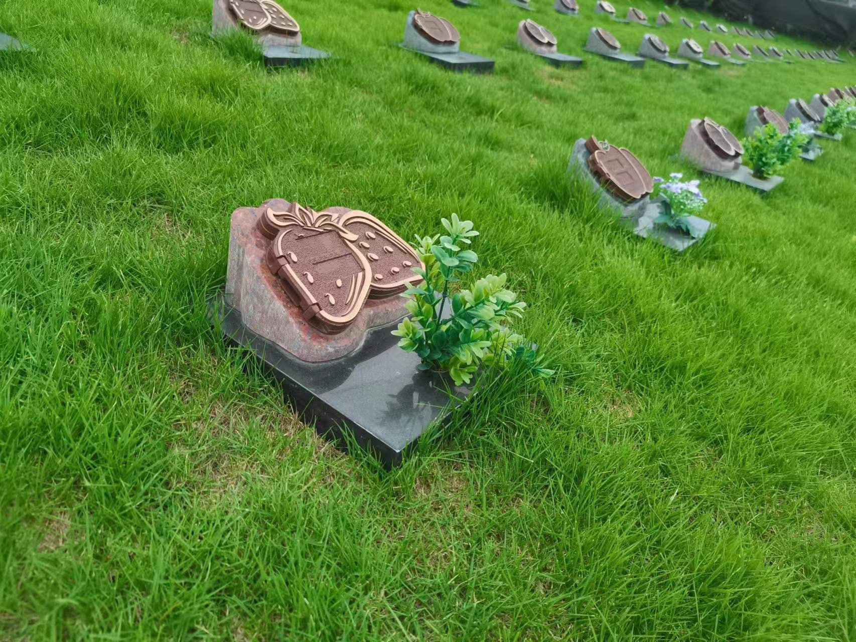 永乐高·(中国区)官方网站