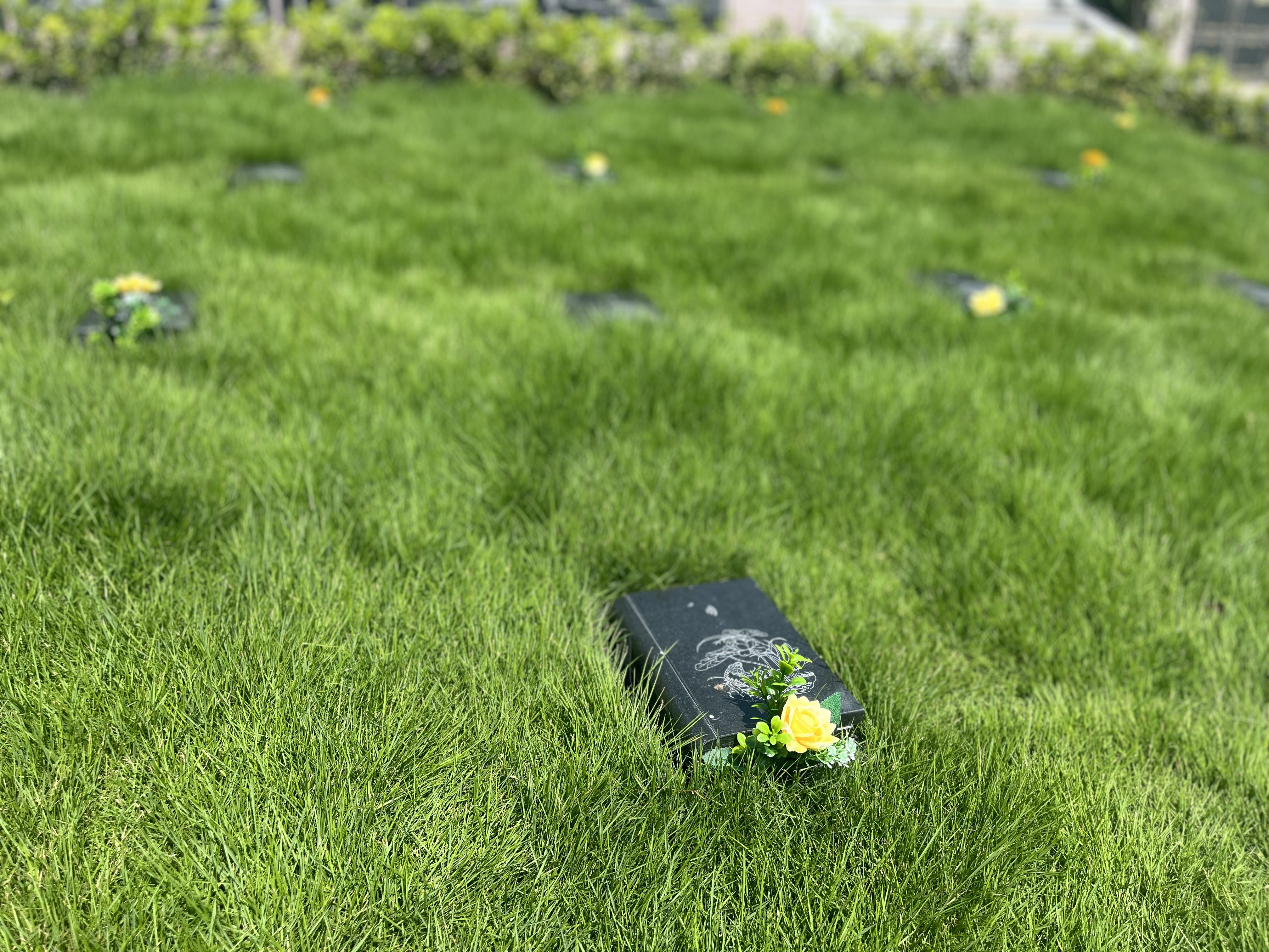 永乐高·(中国区)官方网站