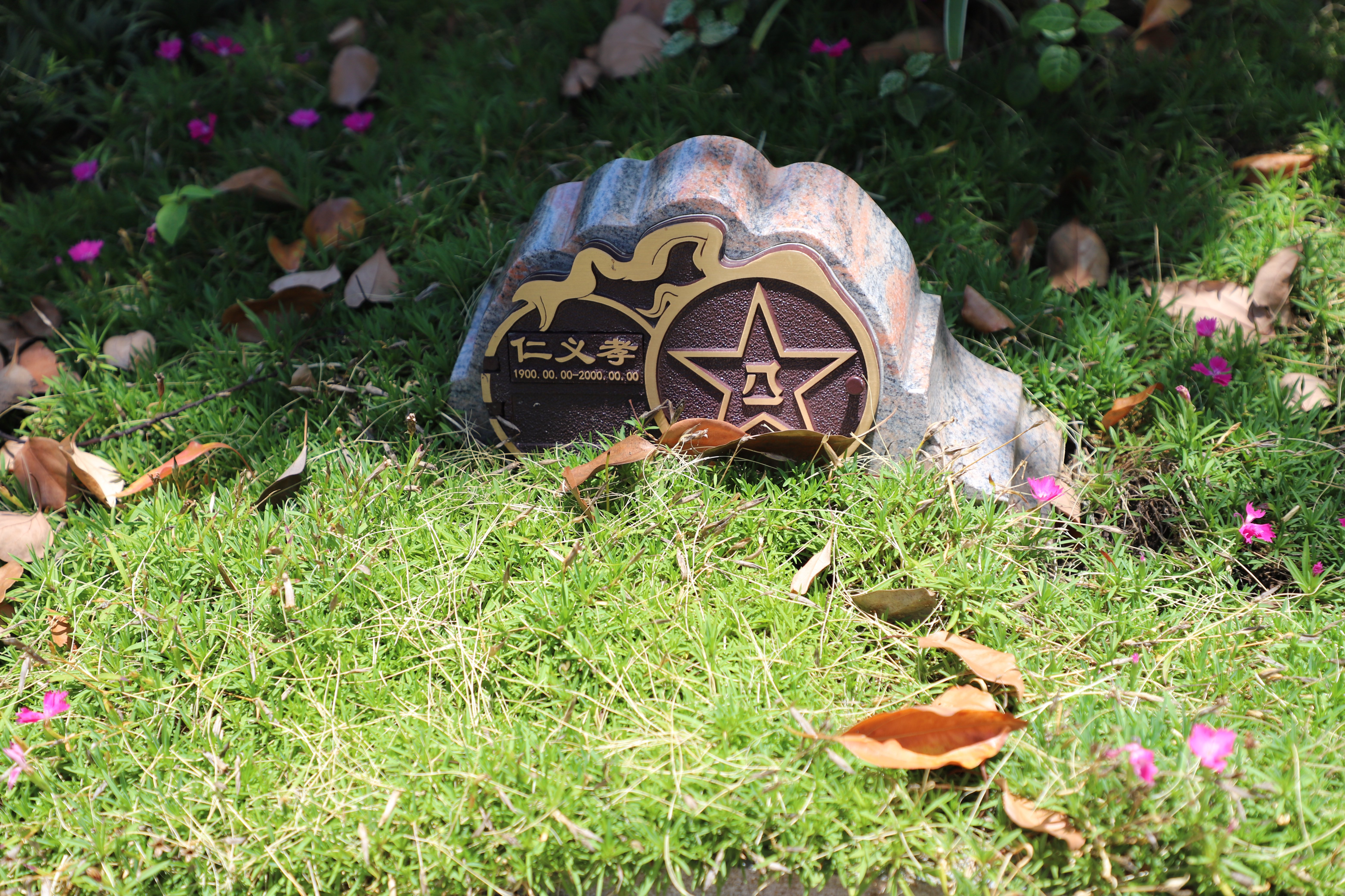 永乐高·(中国区)官方网站