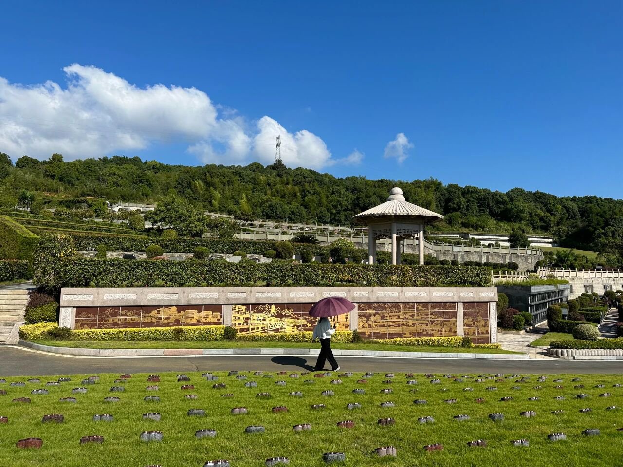 永乐高·(中国区)官方网站