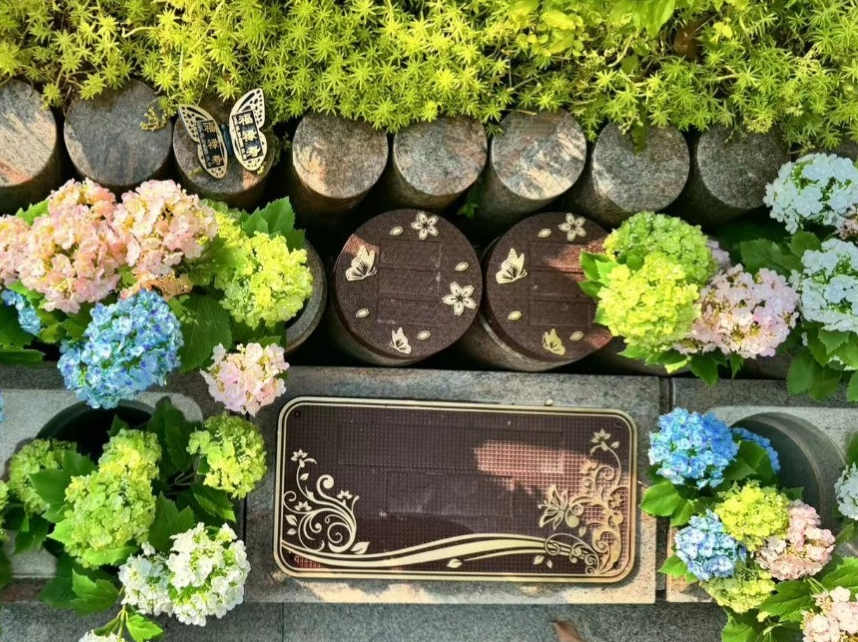 永乐高·(中国区)官方网站