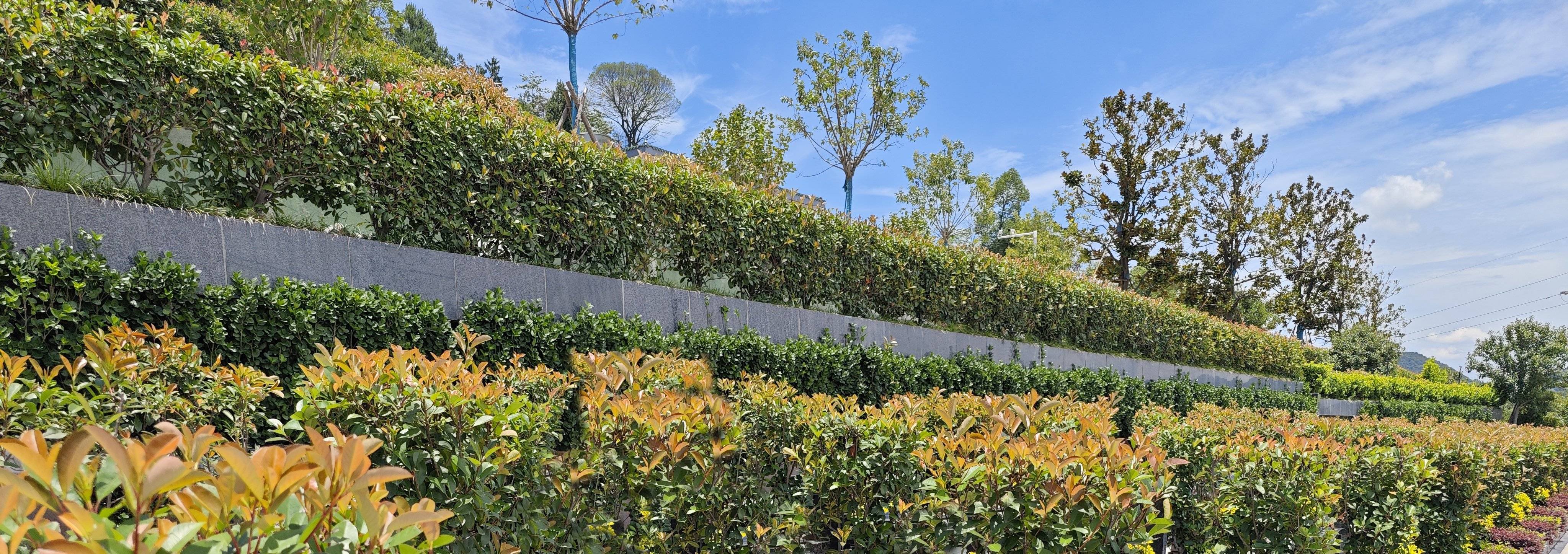 永乐高·(中国区)官方网站