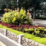 无机仿真石花箱：以永恒之名，，塑未来之境