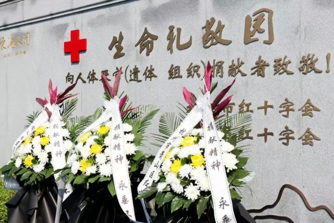 永乐高·(中国区)官方网站