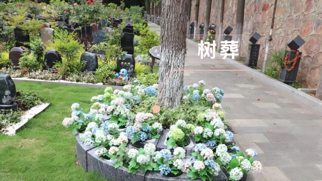 永乐高·(中国区)官方网站